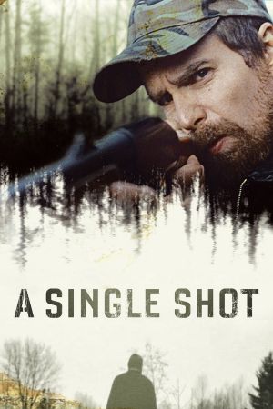 A Single Shot streaming