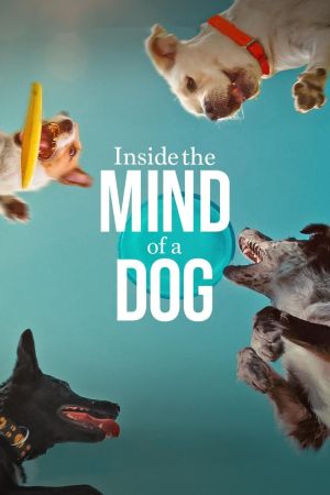Caractères de chiens streaming