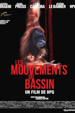 Les Mouvements du bassin streaming