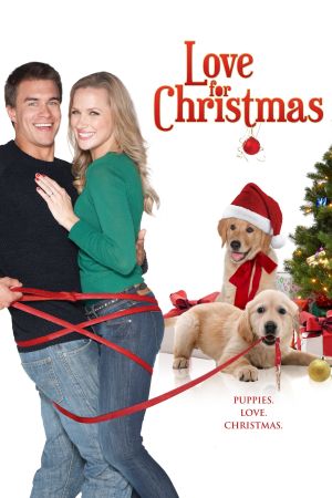De l'amour pour Noël streaming