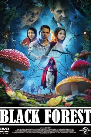 Les Secrets de la forêt noire streaming