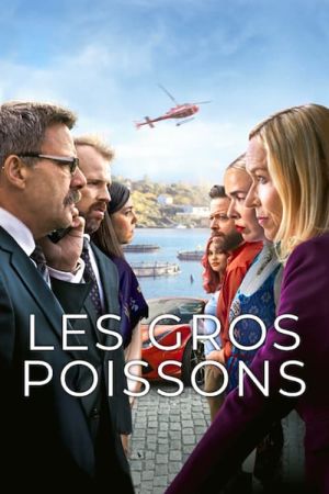 Les Gros poissons streaming