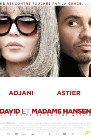 David et Madame Hansen streaming