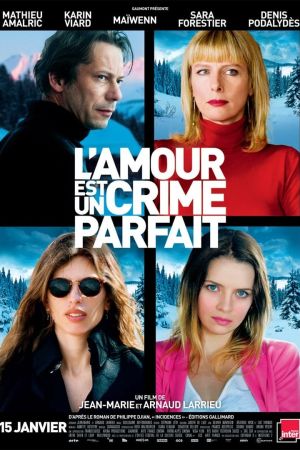 L'amour est un crime parfait streaming
