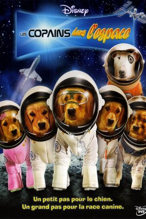 Les copains dans l'espace streaming