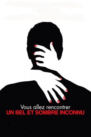 Vous allez rencontrer un bel et sombre inconnu streaming