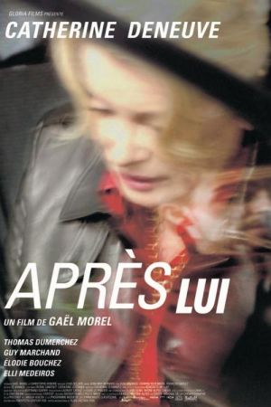Après lui streaming