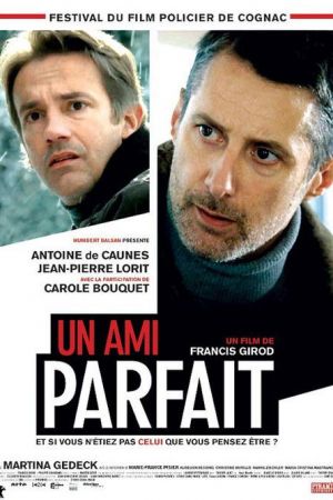 Un ami parfait streaming