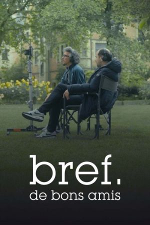 Bref. De bons amis streaming