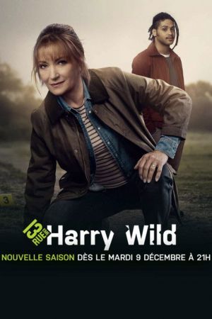 Harry Wild streaming