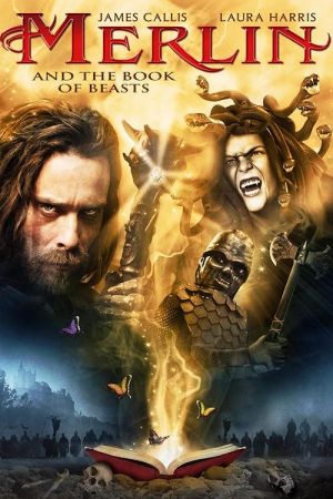 Merlin et le livre des sorts streaming
