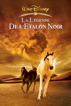 La légende de l'étalon noir streaming
