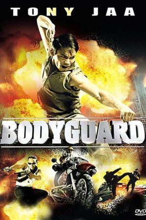 The bodyguard streaming