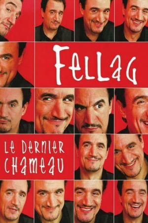 Fellag - Le Dernier chameau streaming