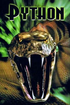 Python streaming