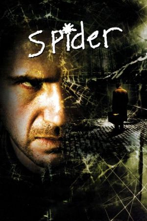 Spider streaming