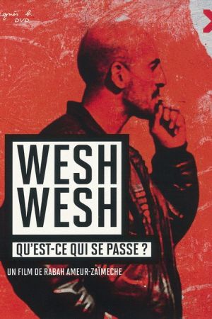 Wesh wesh, qu'est-ce qui se passe? streaming