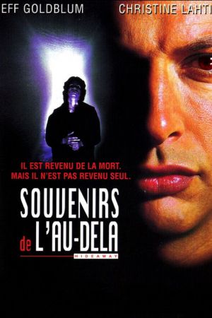 Souvenirs de l'au-delà streaming