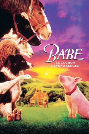 Babe, le cochon devenu berger streaming