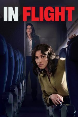 In Flight streaming