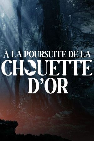 A la poursuite de la chouette d'or streaming