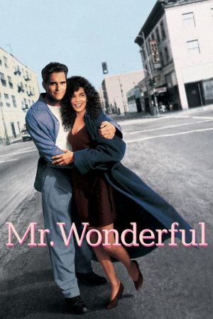 Mr. Wonderful streaming