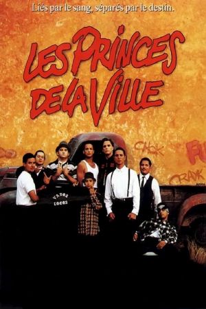 Les Princes de la ville streaming