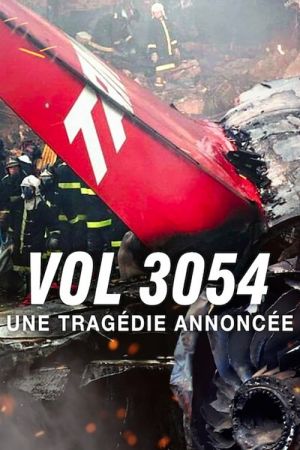 Vol 3054 : Une tragédie annoncée streaming