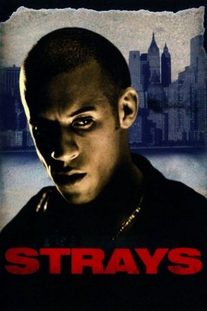 Strays streaming