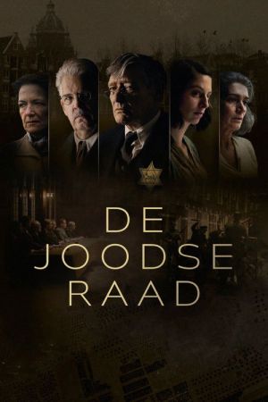 The Jewish Council streaming