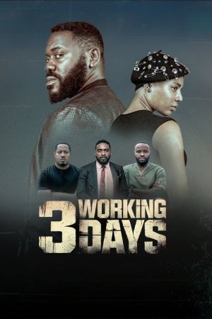 3 Working Days streaming