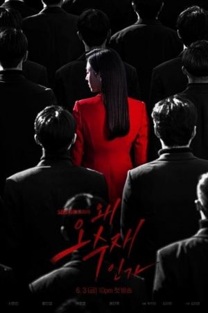 Why Her? streaming