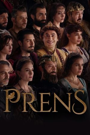 The Prince streaming