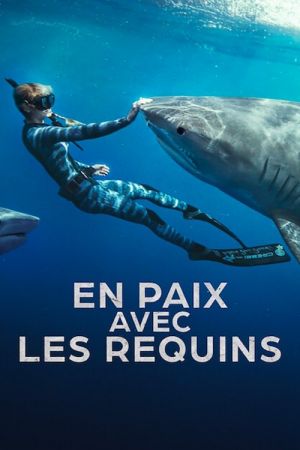 En paix avec les requins streaming