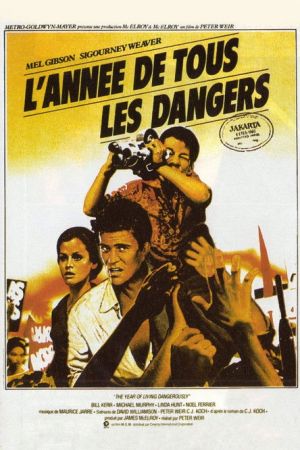 L'Année de tous les dangers streaming
