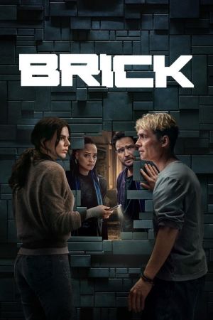 Brick streaming