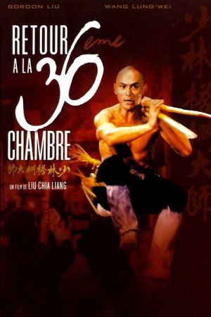 Retour à la 36ème chambre streaming