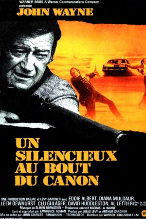 Un silencieux au bout du canon streaming
