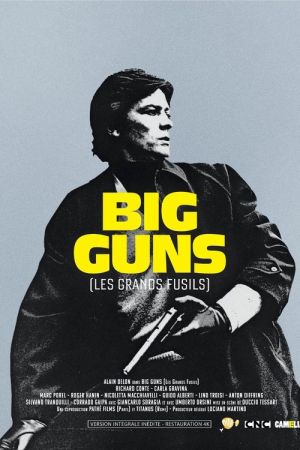 Big Guns - Les Grands fusils streaming