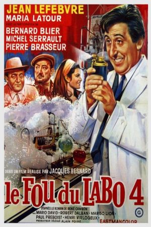 Le Fou du labo 4 streaming