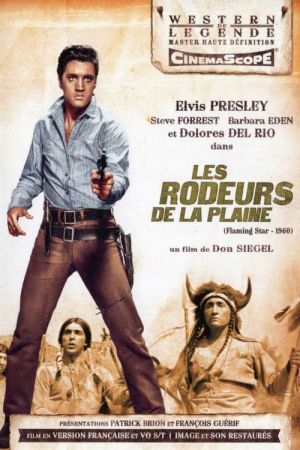Les Rôdeurs de la plaine streaming