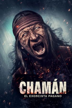 Shaman streaming