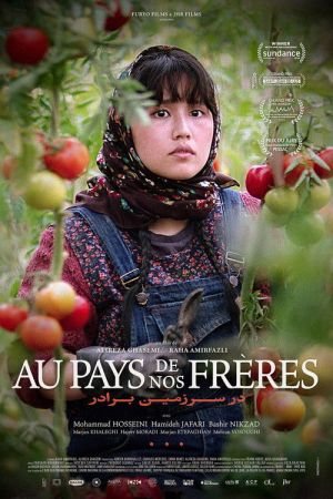 Au pays de nos frères streaming