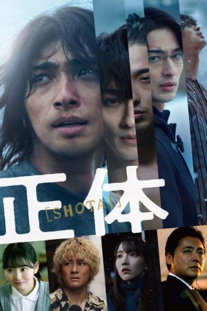 Shoutai streaming