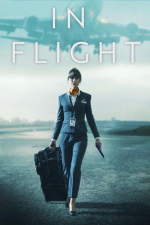 In Flight streaming