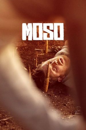 Moso streaming