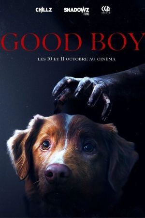 Good Boy streaming