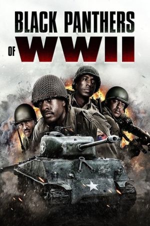 Black Panthers of WWII streaming