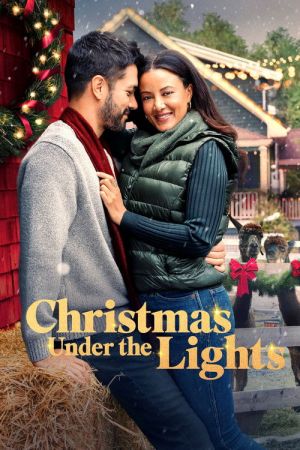 Un Noël plein de lumières streaming