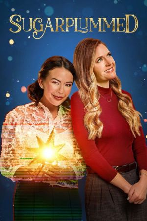 Les règles d'or d'un Noël parfait streaming